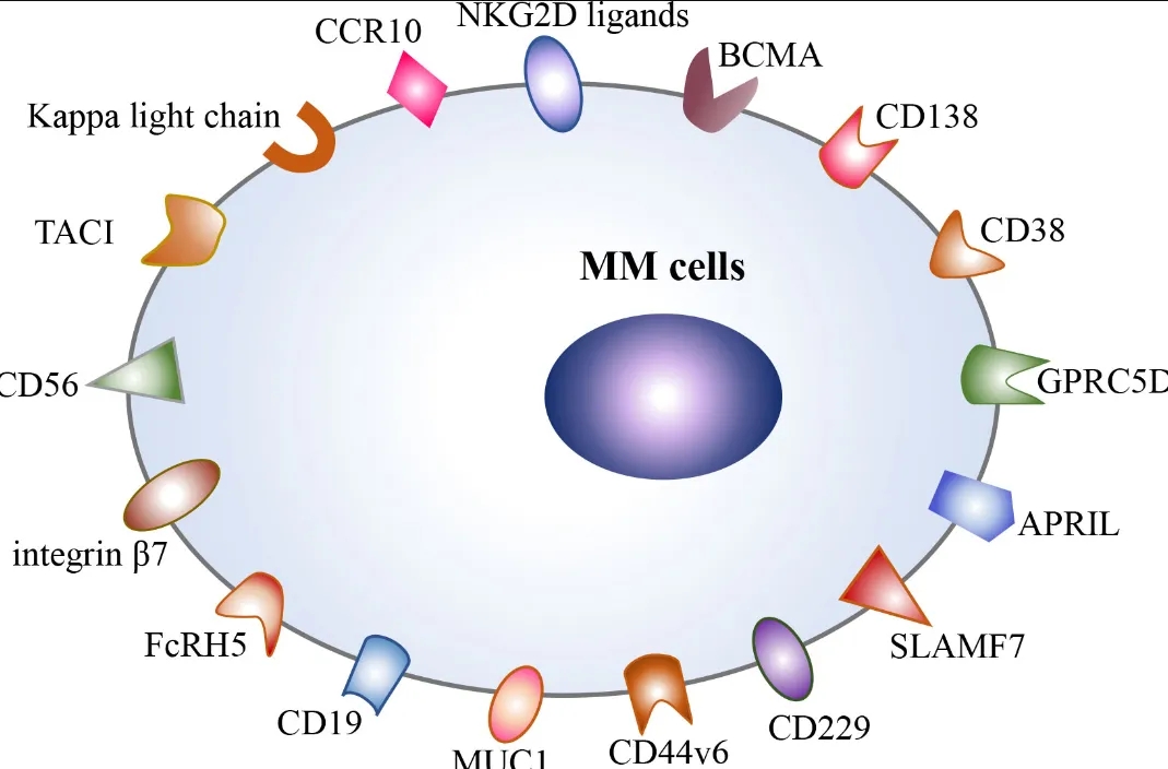 BCMA car-t targets