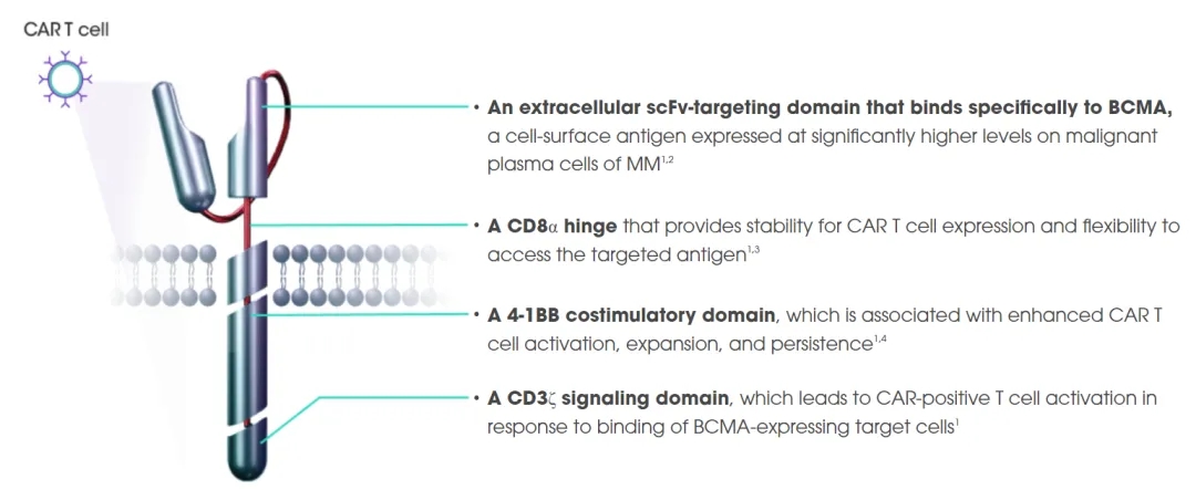 CAR-Tcell