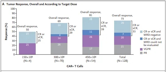 Idecabtagene vicleucel treatment data