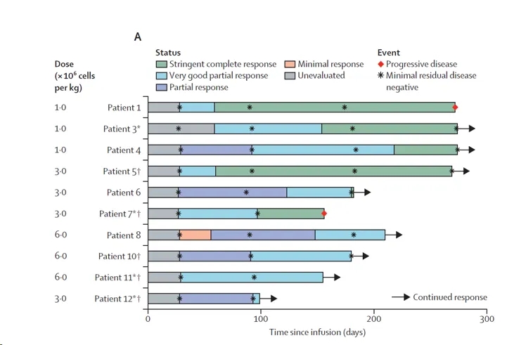 Treatment response of patients after infusion of oricar-017