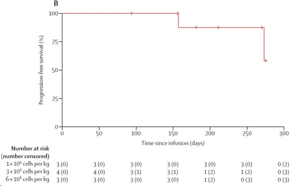 Kaplan Meier curves of progression free survival