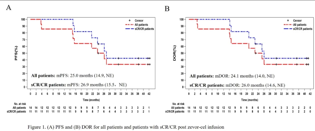 Zevorcabtagene autoleucel treatment data