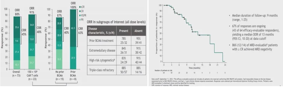 Cc-95266-mm-001 treatment data