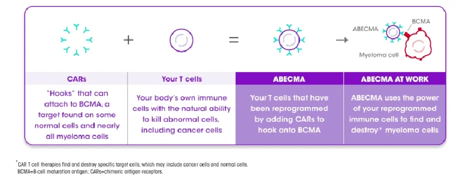 Abecma's Principles of Drug Action