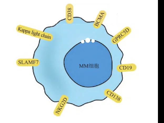 MM therapeutic targets