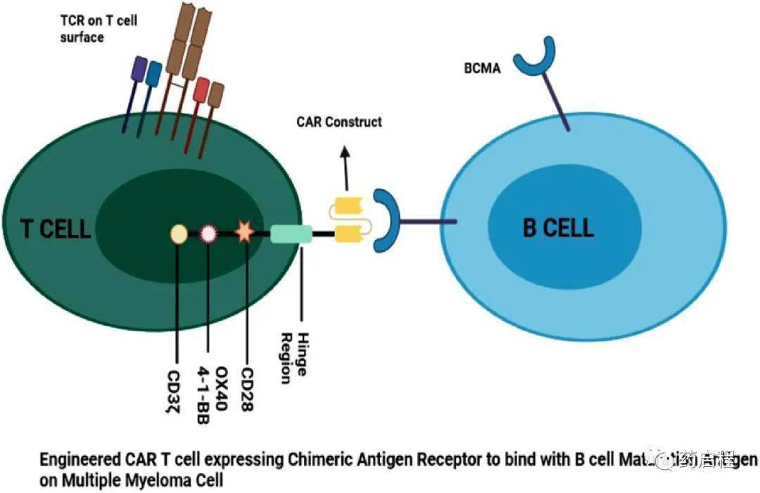 Schematic illustration