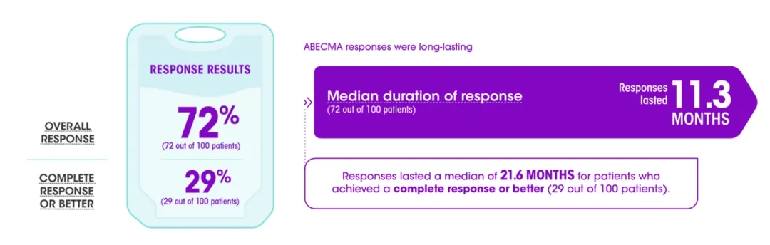 Abecma's clinical data