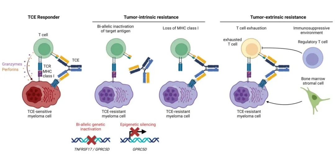 Tumor intrinsic and tumor extrinsic mechanisms of TCE resistance