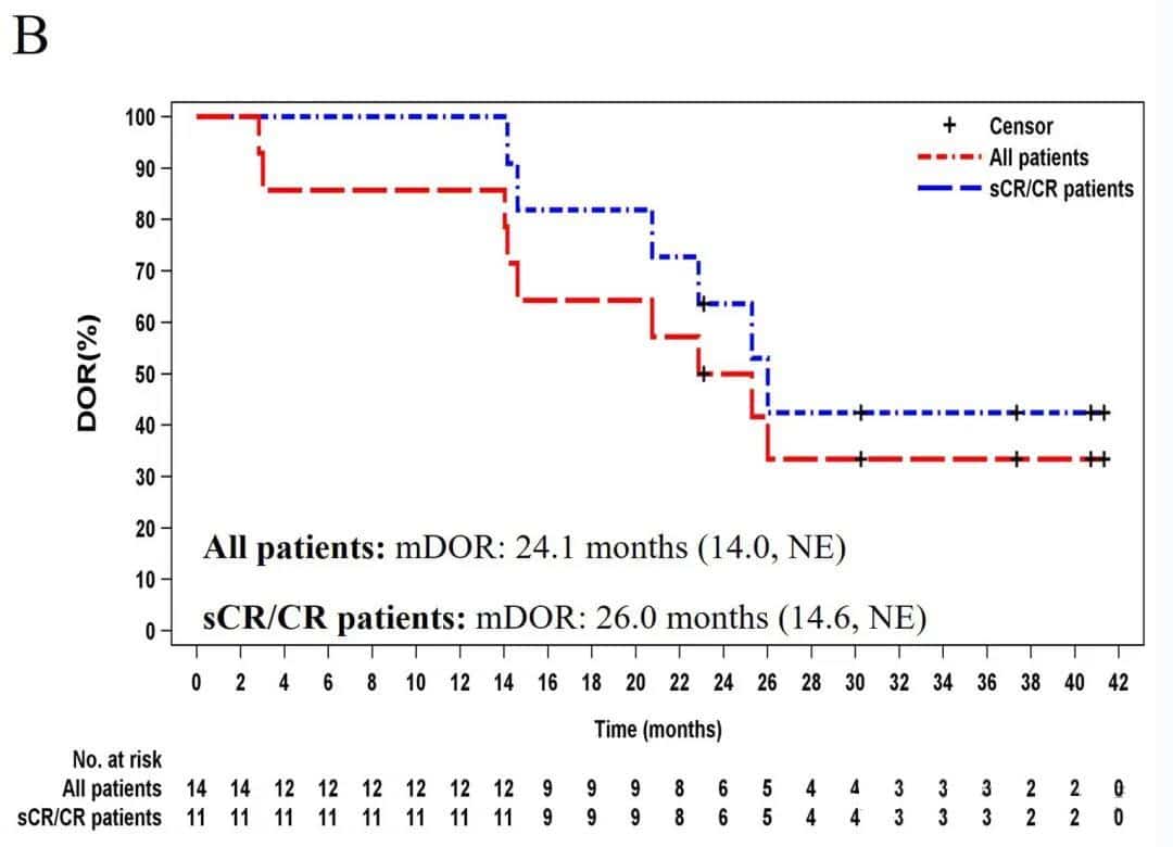 Zevorcabtagene Autoleucel treatment data