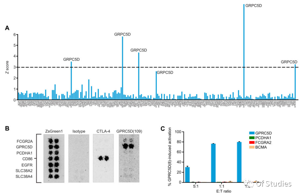 Specificity of scFv clone 109 for GPRC5D