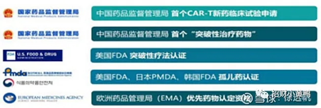 Overview of Ciltacabtagene Autoleucel Approval