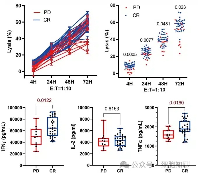 CAR-T cells obtained from CR patients exhibit stronger tumor-killing ability and higher TNFα and IFNγ secretion