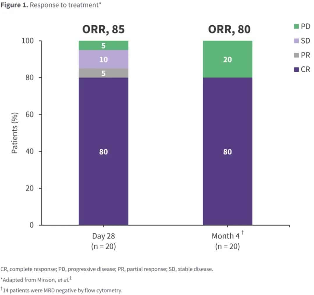 The effect of CAR-T combined with Ibrutinib in the treatment of Mantle Cell Lymphoma