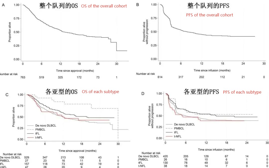 Data on car-t cell therapy for myeloma