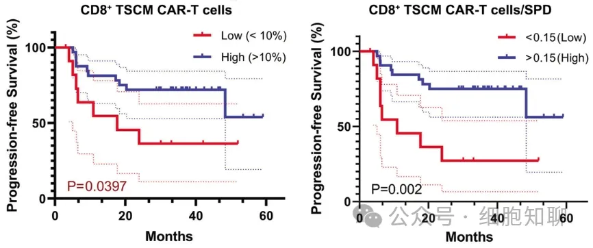 Patients with higher CD8+ TSCM population levels exhibit longer PFS