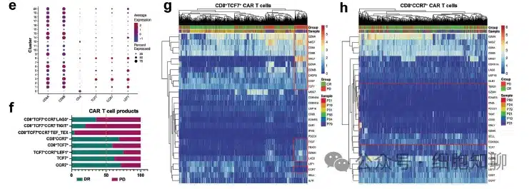 Single-cell RNA-seq analysis of infused CAR-T cell products