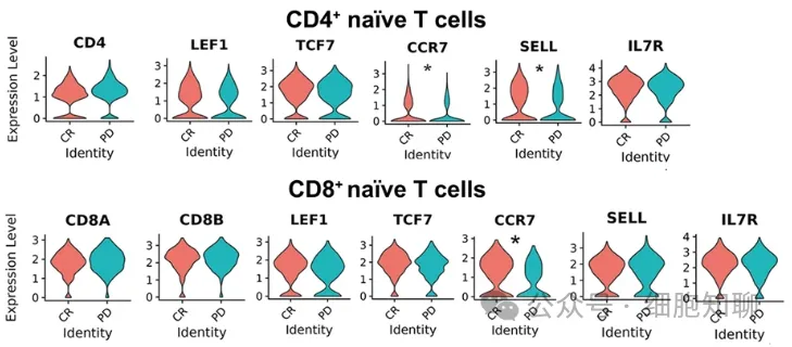 Expression of specific genes in CD4+ naive (top) and CD8+ naive (bottom) T cell clusters