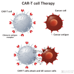 CAR-T Cells Leukemia,Aucatzyl Approved for the Treatment of Relapsed or Refractory B-cell acute Lymphoblastic Leukemia