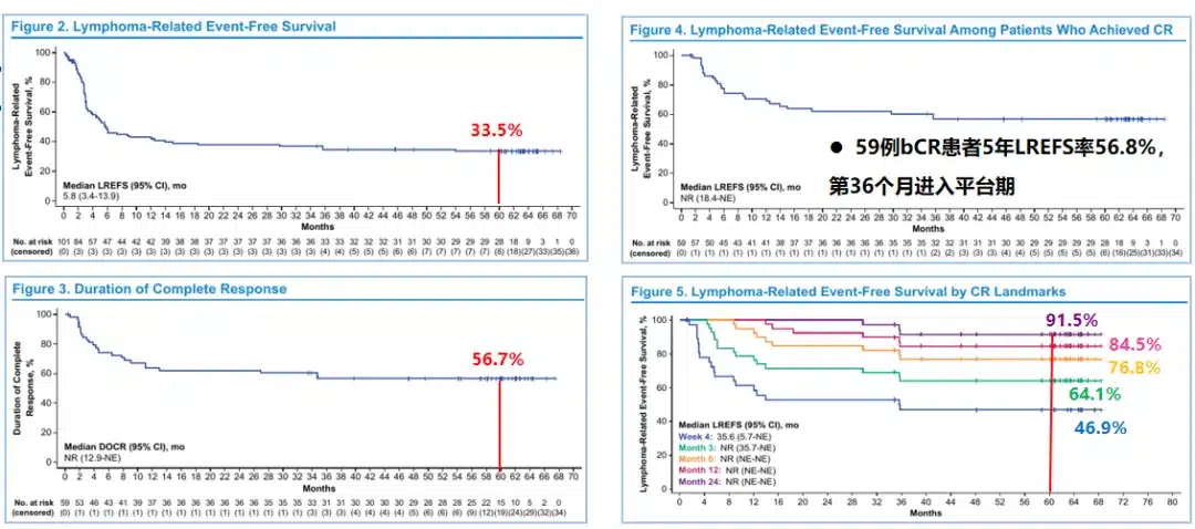 6-year follow-up results of the ZUMA-1 study