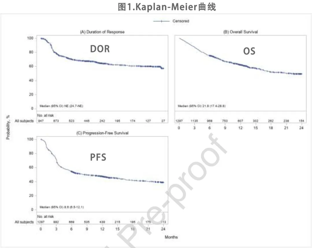 Kaplan Meier curve