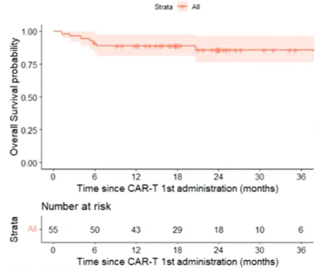 Figure 2 OS from First CAR-T Treatment