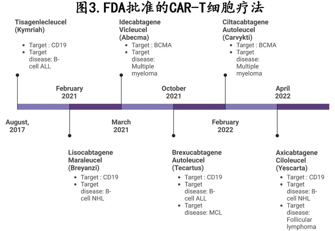 describe the CAR-T cell manufacturing process