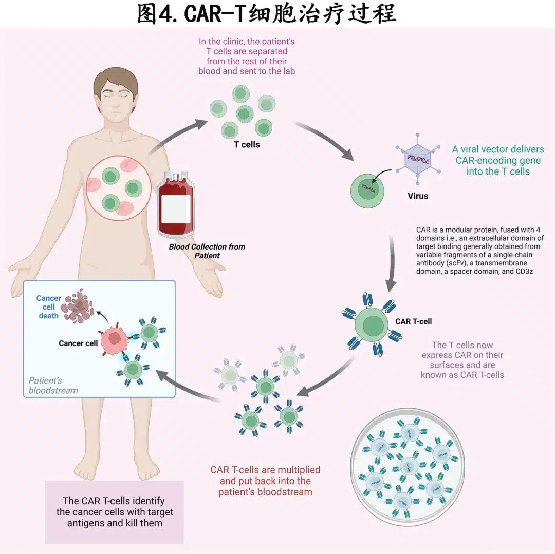 Car-t cell therapy process