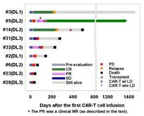 Swimmer plot for the mature T cell lymphoma cohort