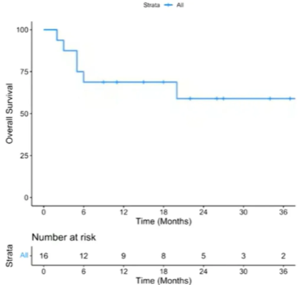 Outcomes After Relapse Post Yescarta