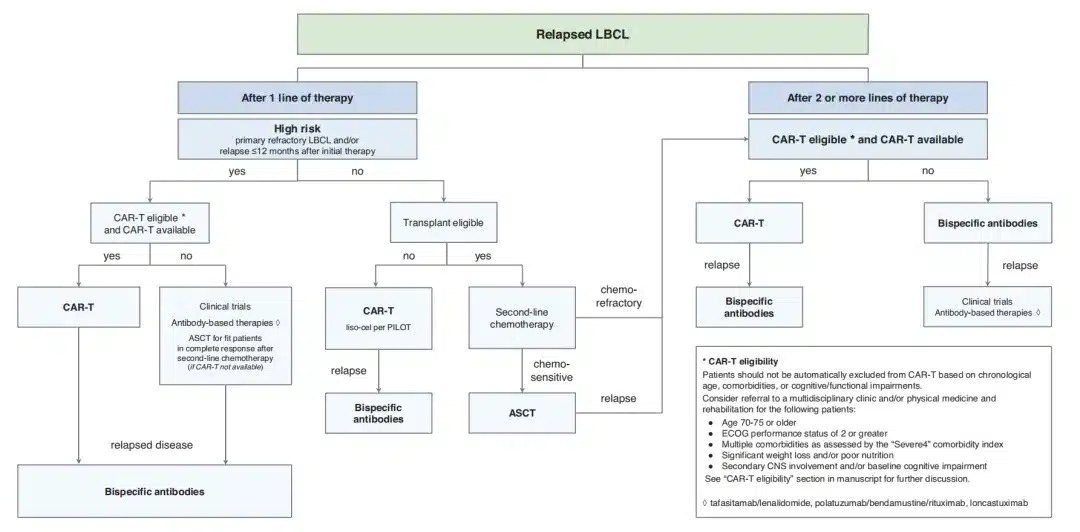 Treatment algorithm for R/R DLBCL