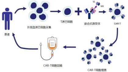 CAR-T treatment process