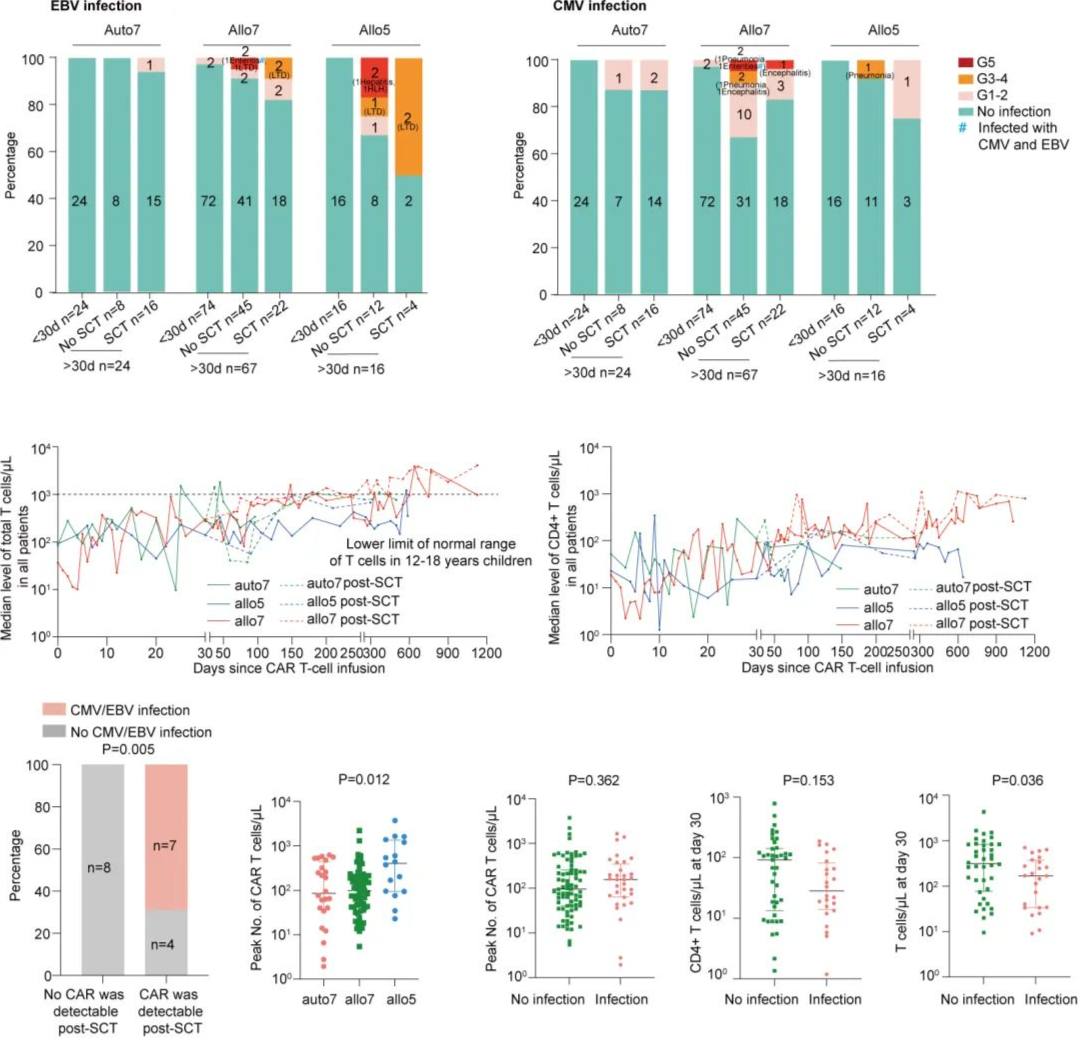 EBV and CMV infections, T cell and CD4+ T cell levels after CAR-T cell infusion