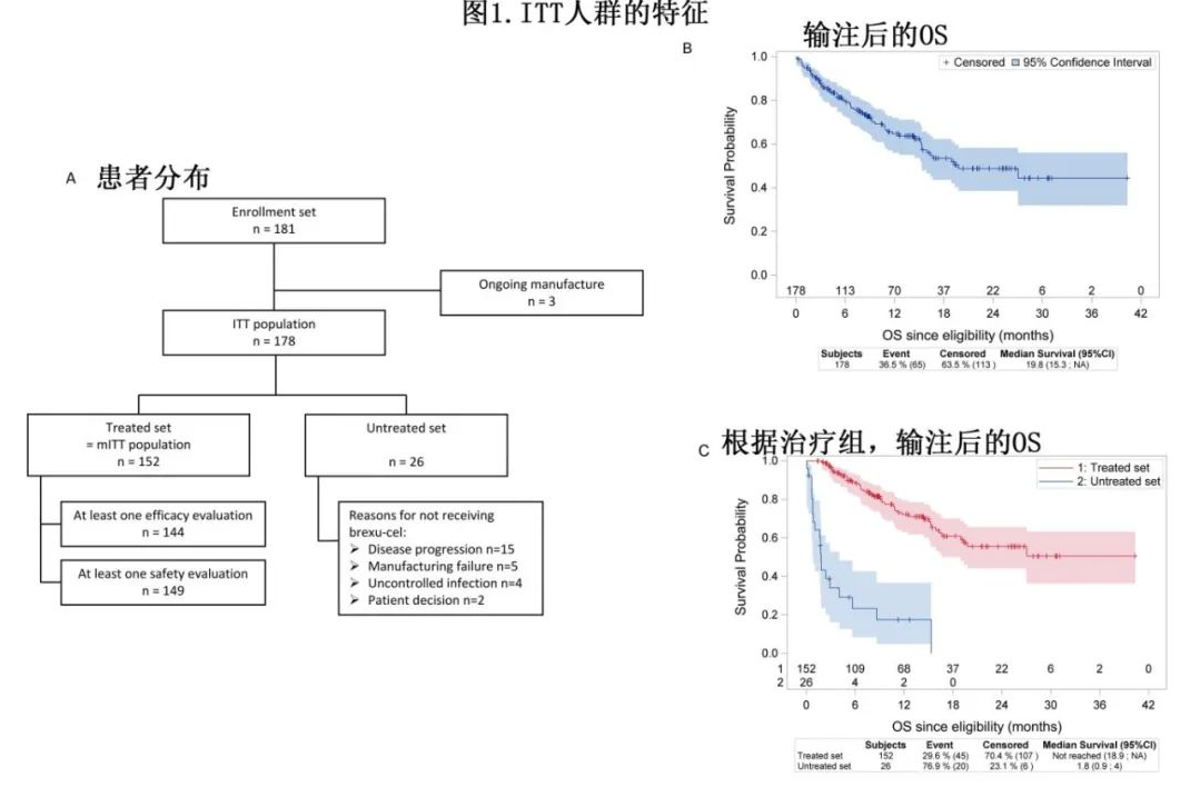 ITT population characteristics