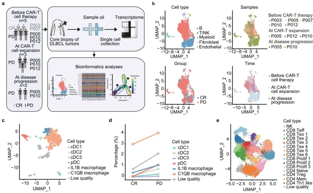 Tumor microenvironment characteristics of CR and PD patients before CAR-T cell therapy