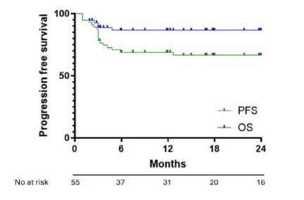 Data from car-t lymphoma treatment